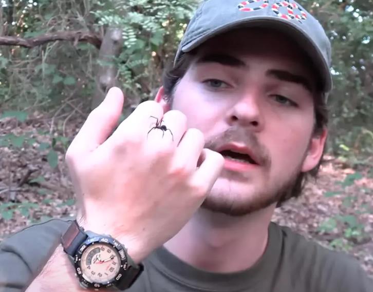 Momak namerno pustio da ga ugrize crna udovica: Sve snimio, a nakon nekoliko sekundi kad je počelo dejstvo otrova, osetio je…