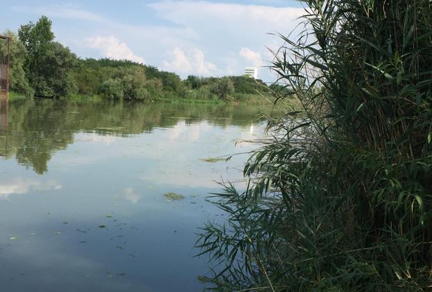 AKCIJA SPASAVANJA NA RECI BEGEJ: Stariji muškarac se davio u vodi, vatrogasci iz Zrenjanina ga izvukli u poslednji čas