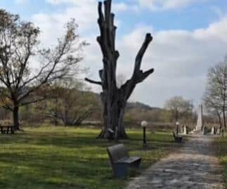 U OVOM GRADU U SRBIJI NALAZI SE HRAST ZA KOJI SE VEZUJE JEZIVA LEGENDA: Danas je spomen-kompleks prirode (VIDEO)