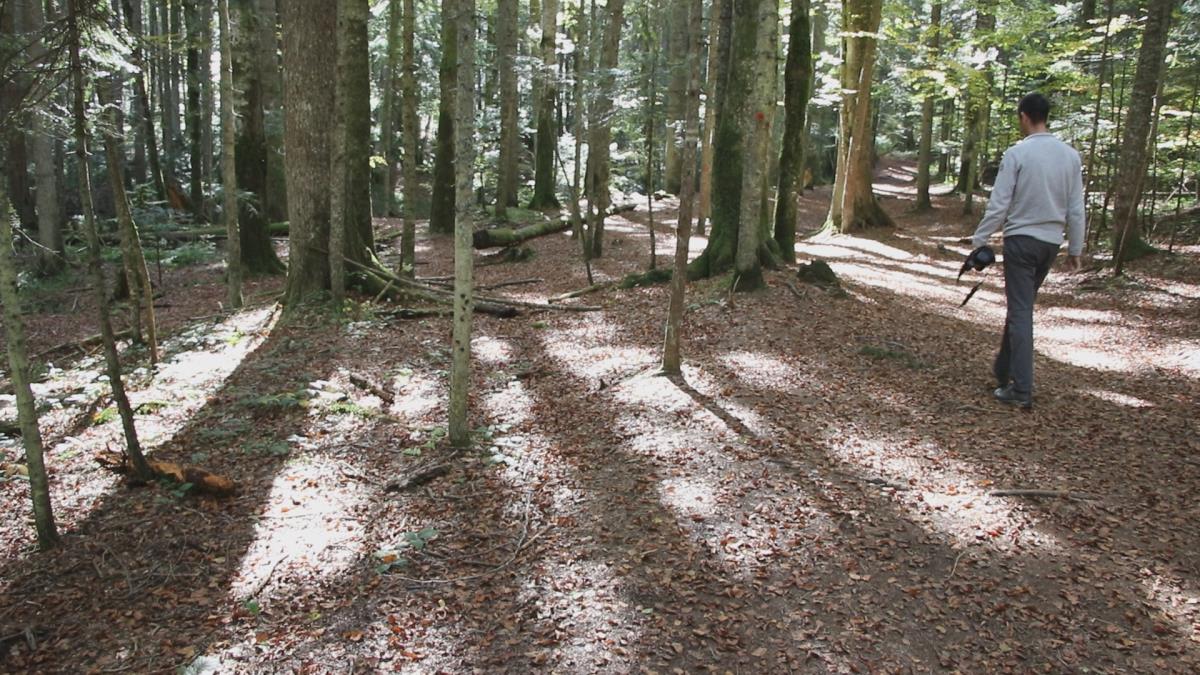 Ko pali vatru, platiće papreno: Važan apel rendžera, Tara pod nadzorom za praznike – kazne rigorozne