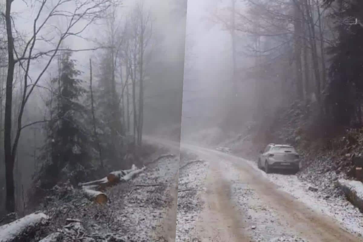 SNEG PADA U APRILU! Nestvarne slike s Tare kod Predovog krsta! (VIDEO)