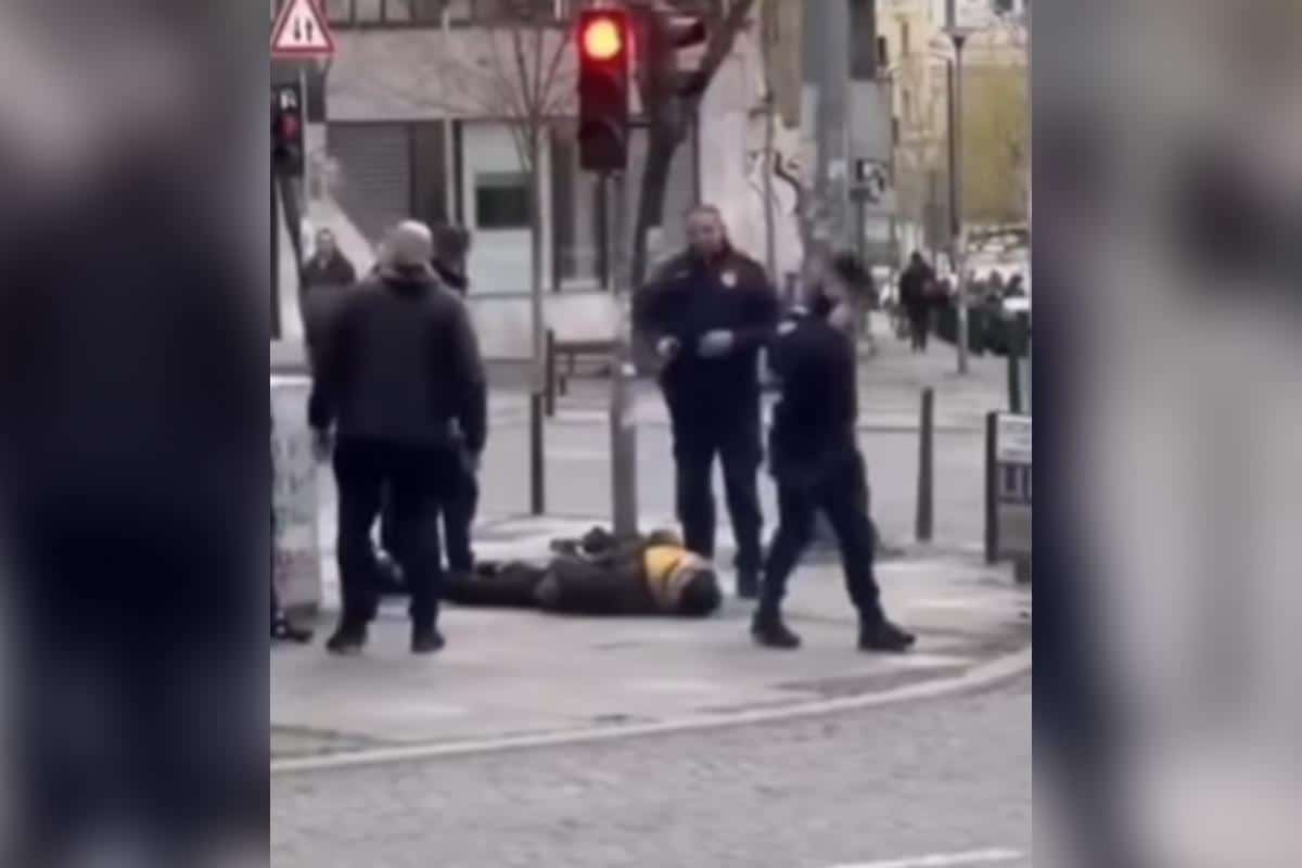 UHAPŠEN MLADIĆ KOJI JE IZMASAKRIRAO PSA U BEOGRADU! Oglasio se MUP o zverskom napadu na nedužno biće! Zadržan na psihijatrijskom lečenju