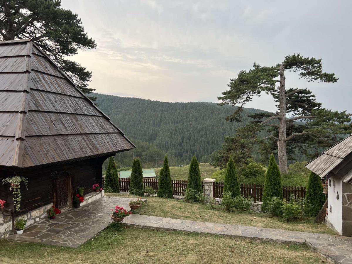 KREĆE SPASONOSNA MISIJA ZA RETKU VRSTU: Vraćaju je na Zlatibor, u Srbiji postoje još samo 4 primerka (FOTO)