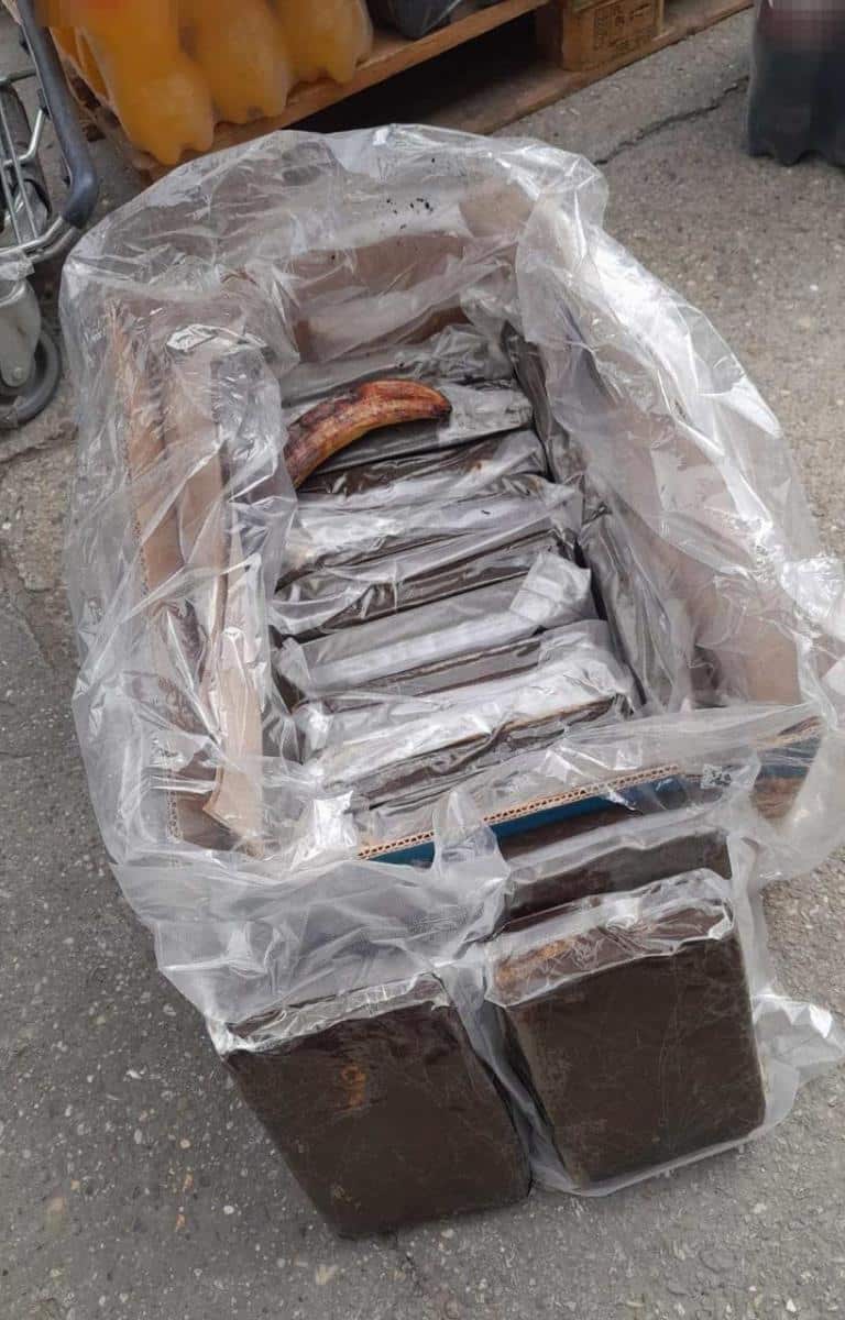 “ŠTEKALI” 15 KILOGRAMA KOKAINA U KUTIJAMA SA BANANAMA Velika zaplena droge u Novom Sadu: Oglasio se Dačić (FOTO)