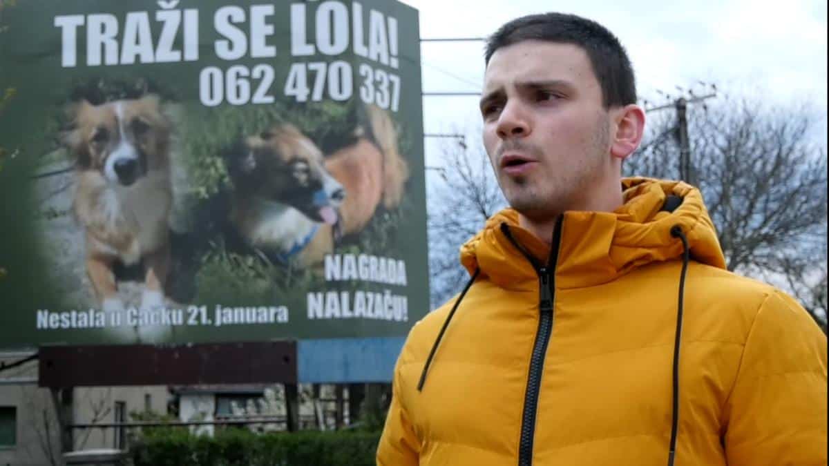 MARKO ZAKUPIO BILBORD DA PRONAĐE SVOJU LOLU: Dirljiva priča o ljubavi čoveka i psa, mladi Čačanin mesecima traži svog ljubimca, nudi i nagradu (FOTO)