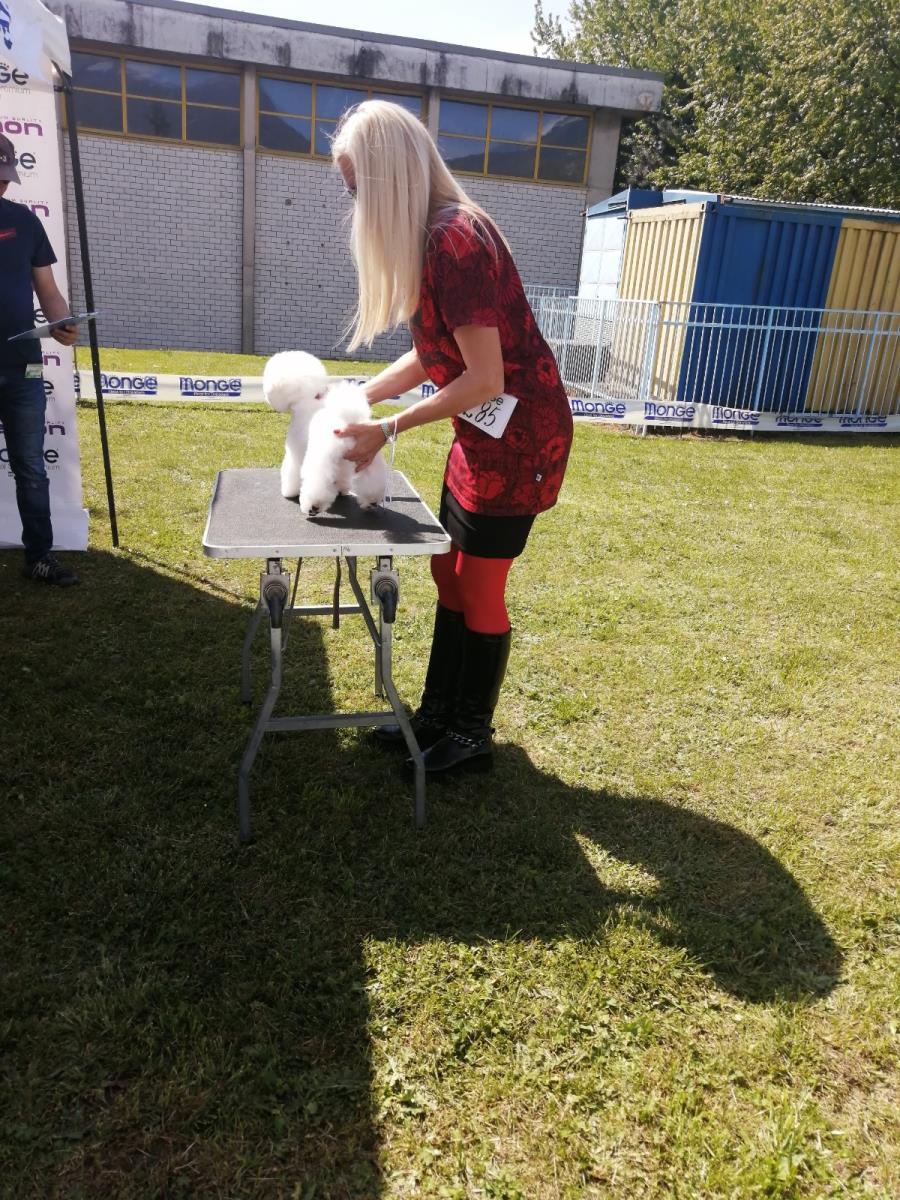 SUTRA MEĐUNARODNA IZLOŽBA PASA U VRANJU: Tradicionalno 14. godinu zaredom, izlagači iz cele Evrope