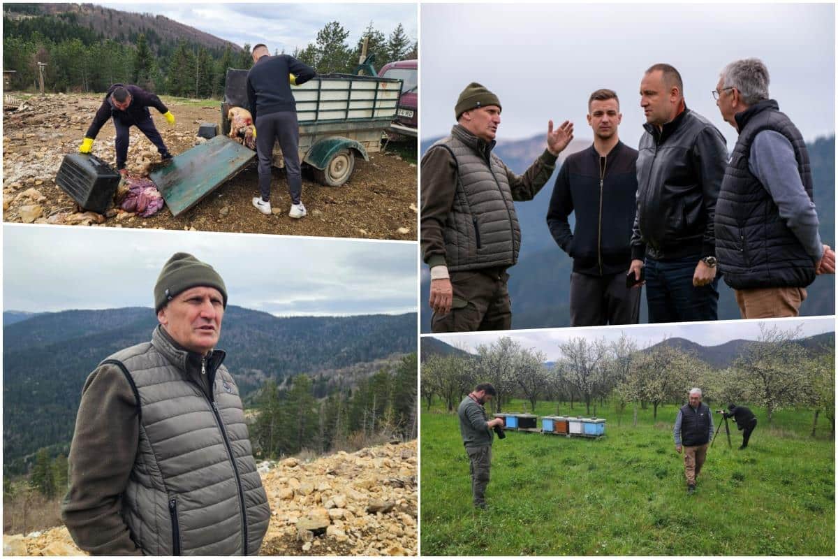 OVAKO IZGLEDA OTVORENI RESTORAN ZA SVE ZVERKE NA JADOVNIKU! Tu se goste lije, mede, vukovi, supovi! Dobri ljudi čuvaju oazu netaknute prirode (FOTO)