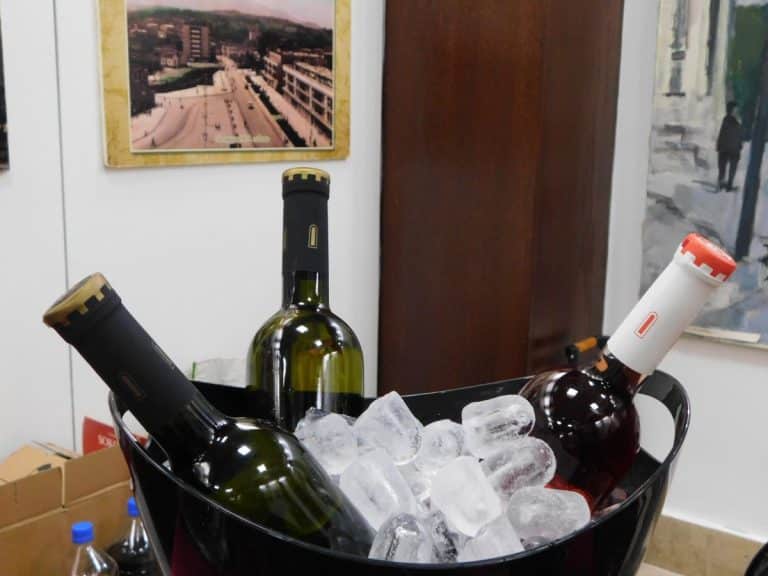 SEDMO DRUŽENJE UZ VINO Danas u Muzeju Jadra u Loznici (FOTO)