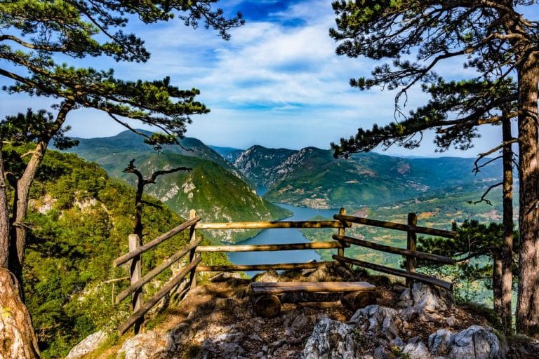STANKO ŠETAO TAROM, PA ZATEKAO ZASTRAŠUJUĆI PRIZOR “Približio sam se iako ne viđam to često” Odmah odlučio da sve iznese javno!