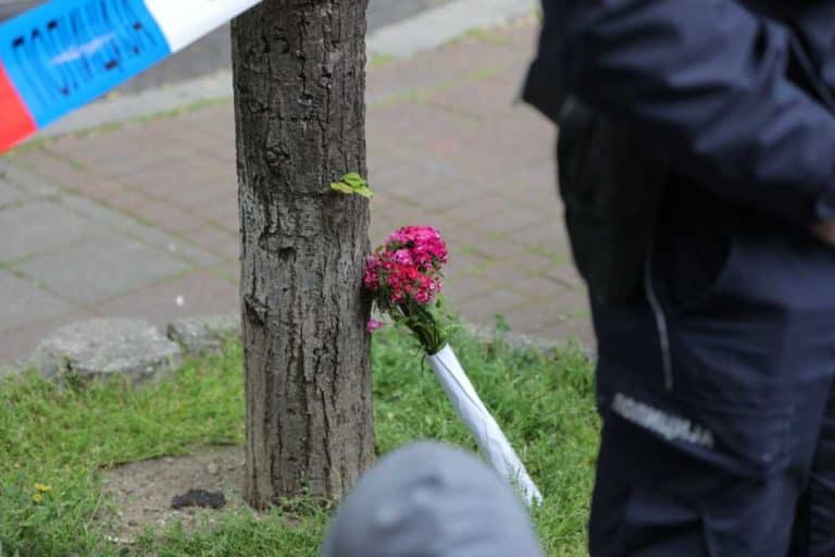 UBIJENO 8 ŽENA OD POČETKA GODINE! Sinovi i partneri uzimali živote nedužnih majki i supruga! Jedna stvar naročito zabrinjava
